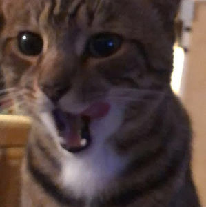 Meet your Posher, Keandra